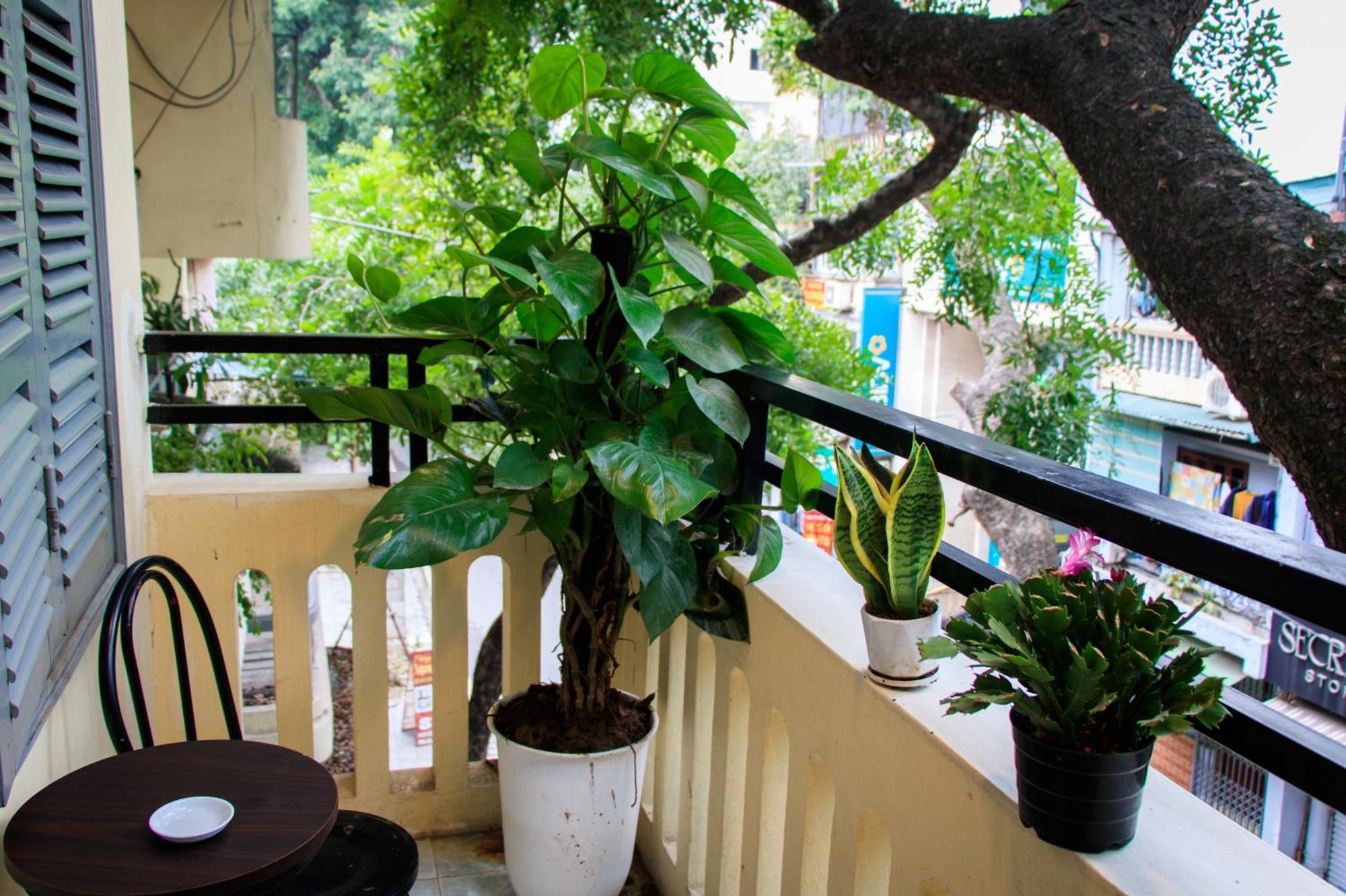 Hanoi Family Homestay Εξωτερικό φωτογραφία
