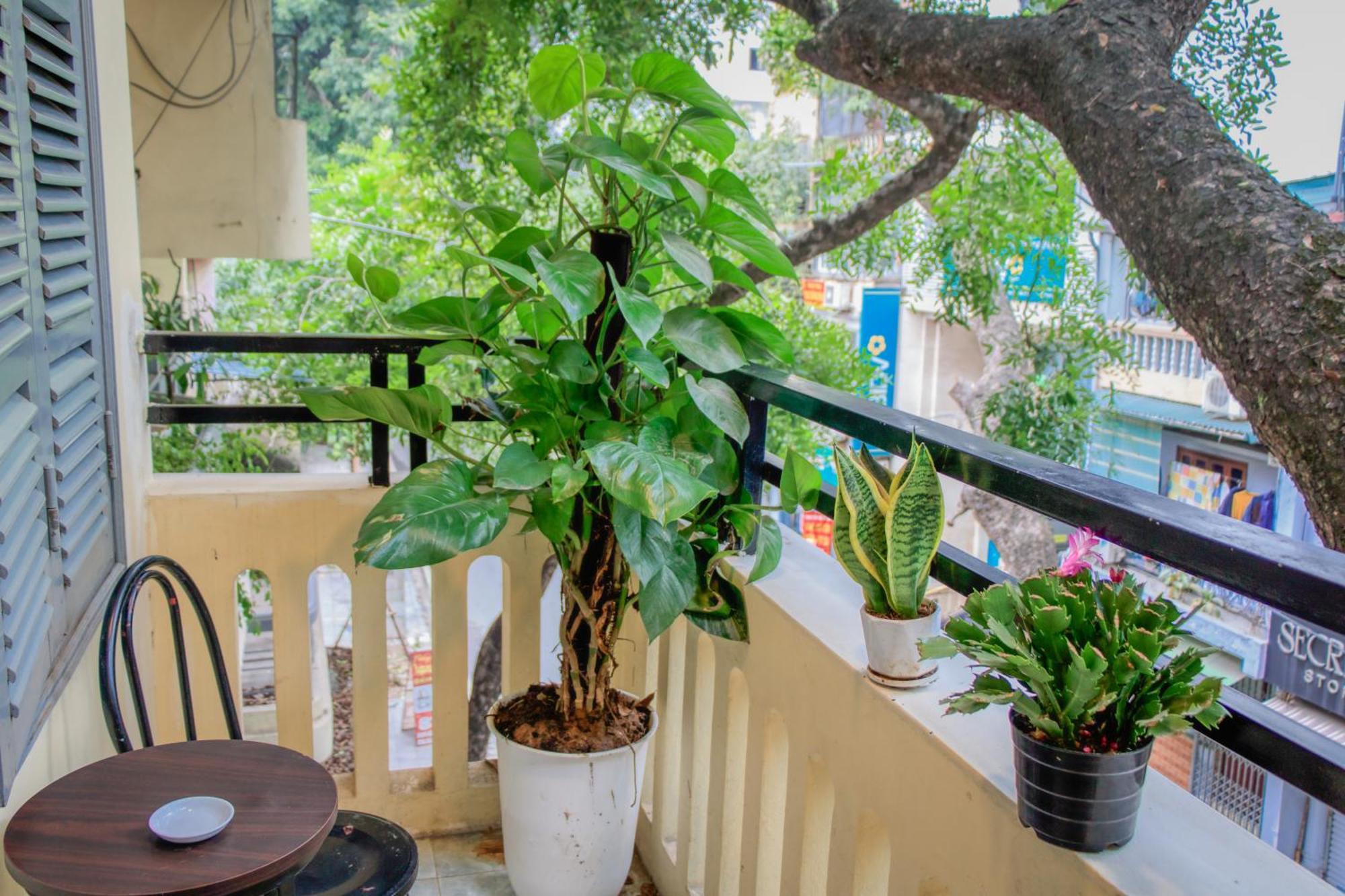 Hanoi Family Homestay Εξωτερικό φωτογραφία