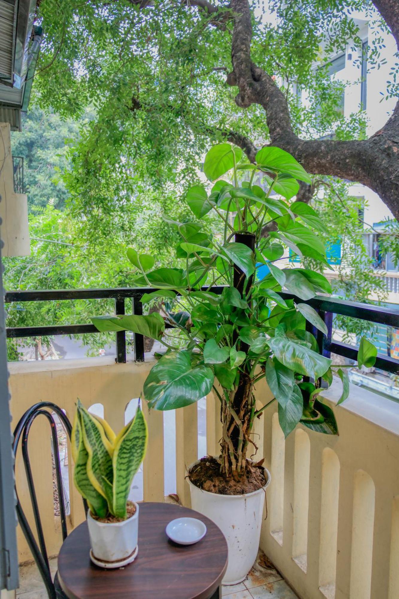 Hanoi Family Homestay Εξωτερικό φωτογραφία